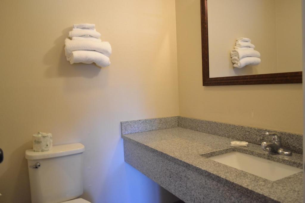 Koupelna v ubytování Skyway Inn - Seatac