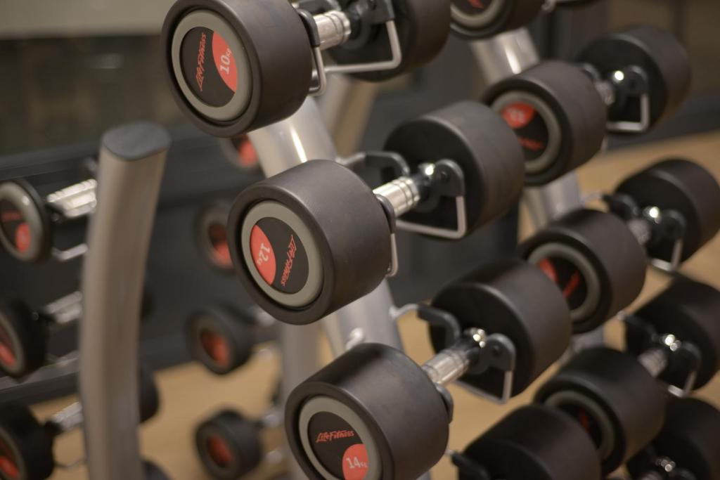 a bunch of dumbbells in a gym at Alpenhotel Fleurs de Zermatt in Zermatt