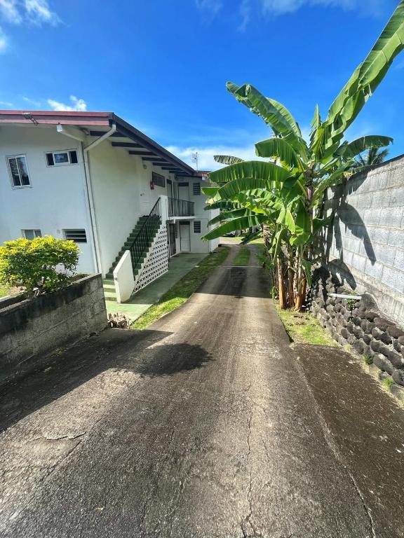 Studio Bel Air - photo 8 - Tahiti, Polynésie