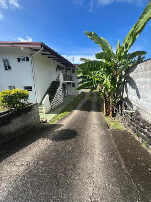 Studio Bel Air - photo 12 - Tahiti, Polynésie