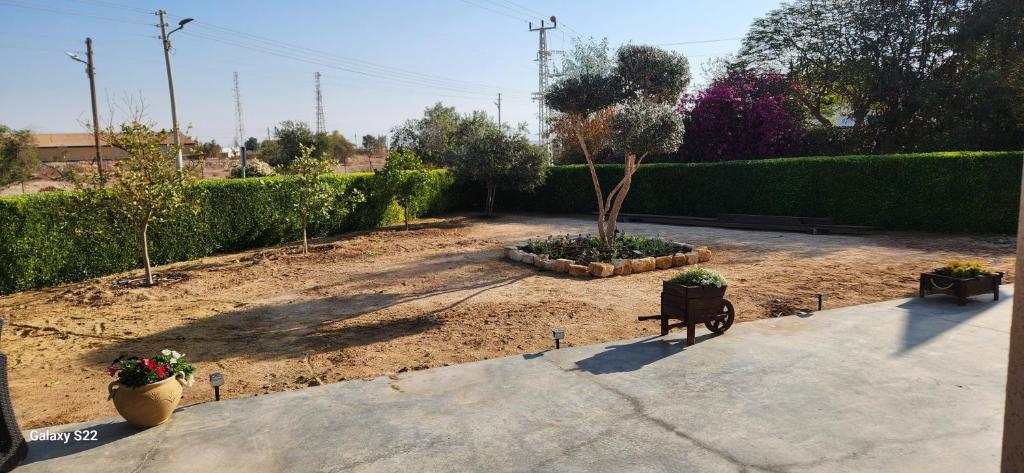 Giardino di שקט בערבה