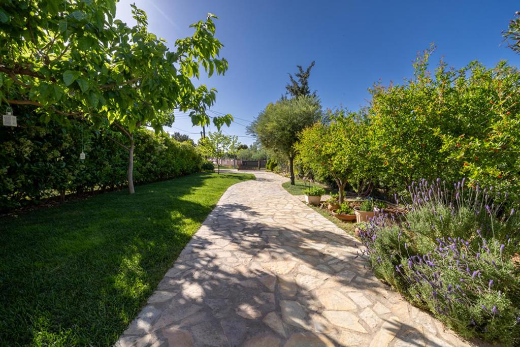 a path through a garden with trees and plants at Salt & Sol in Drosia