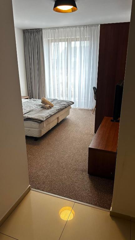 Un dormitorio con una cama y una ventana grande. en Apartmán Katka, en Veľká Lomnica
