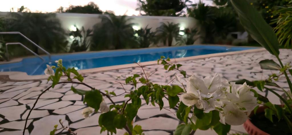 Bazén v ubytování Blue Heaven by Nokar, Villa Salt pool Jacuzzi nebo v jeho okolí