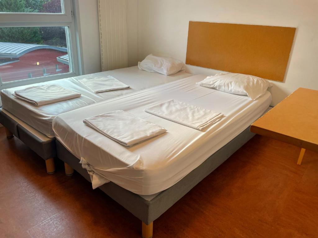 Auberge de Jeunesse HI Grenoble - 双床间 - 带浴室