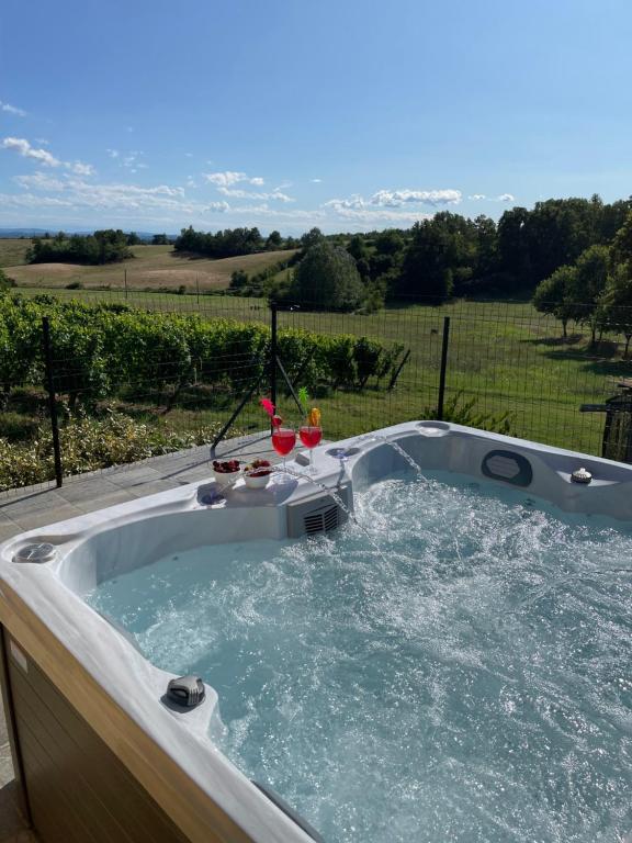 uma banheira de hidromassagem com vista para um campo em Country House Pais - Relax in jacuzzi tra i vigneti em Quargnento