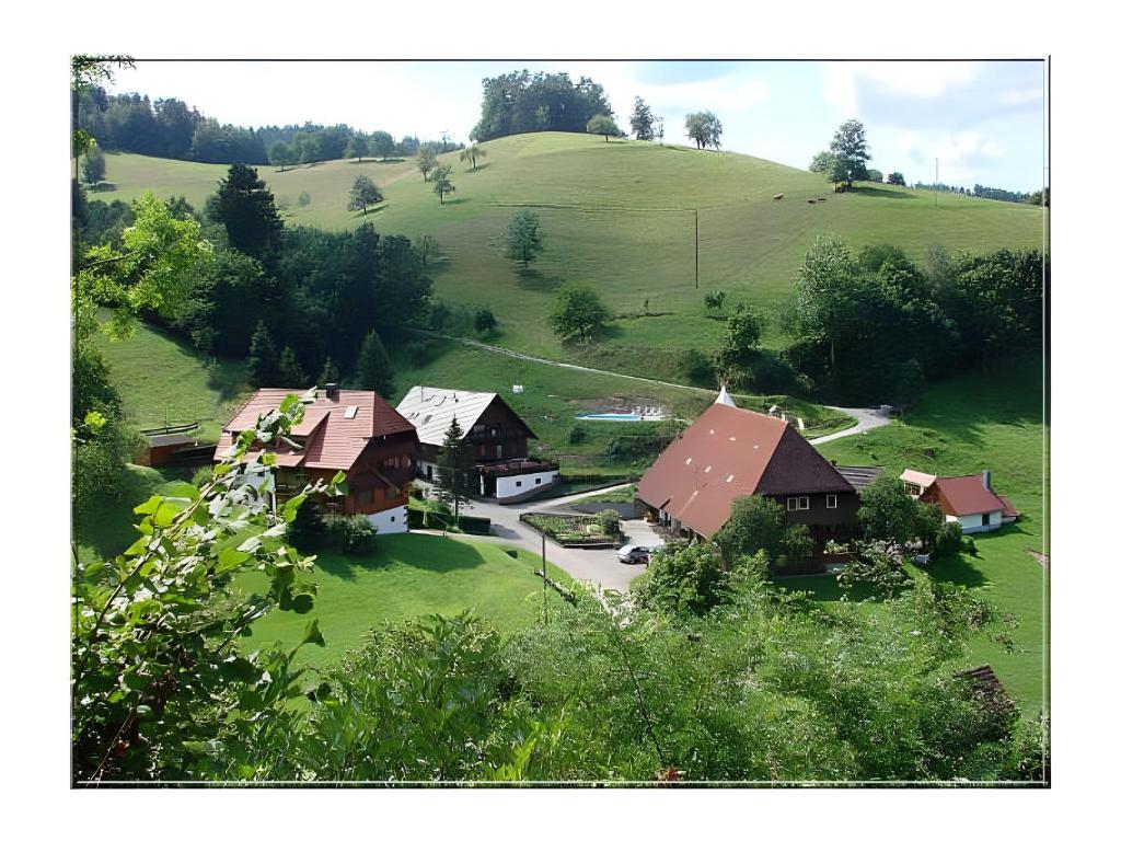 Příroda nedaleko apartmánu