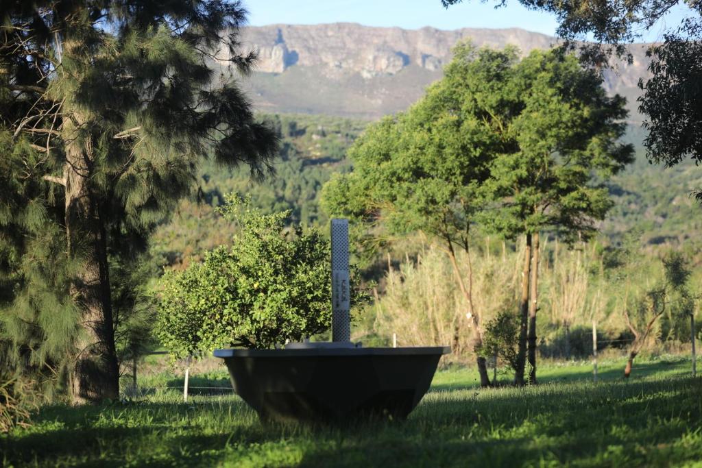 Gallery image of Calais Wine Estate in Vosburg