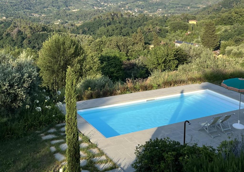 une piscine au milieu d'un jardin dans l'établissement Villa Prana by Nicola Real Estate, à Corsanico-Bargecchia