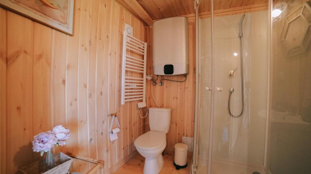 a bathroom with a toilet and a shower at Glamping Niebiańska Osada Jurty Dolnośląskie & SPA in Polanica-Zdrój