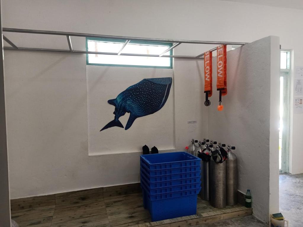 Fins Dive and Leisure Hotel - 16