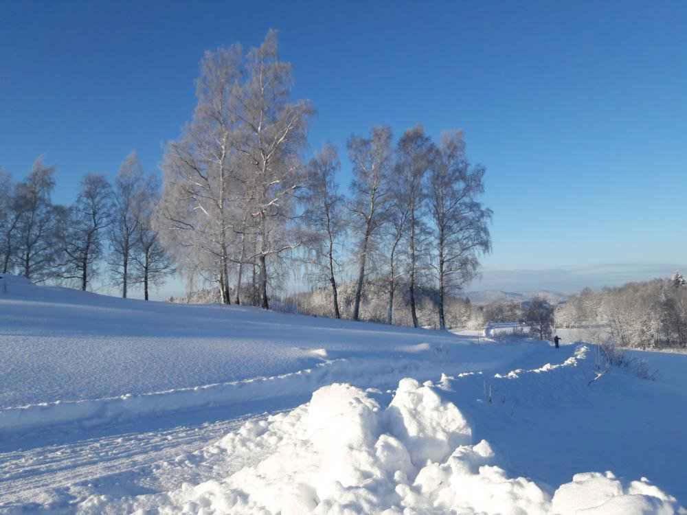 une route enneigée avec des arbres en arrière-plan dans l'établissement Holiday home in Nova Ves nad Nisou - Riesen- und Isergebirge 43191, à Nova Ves nad Nisou