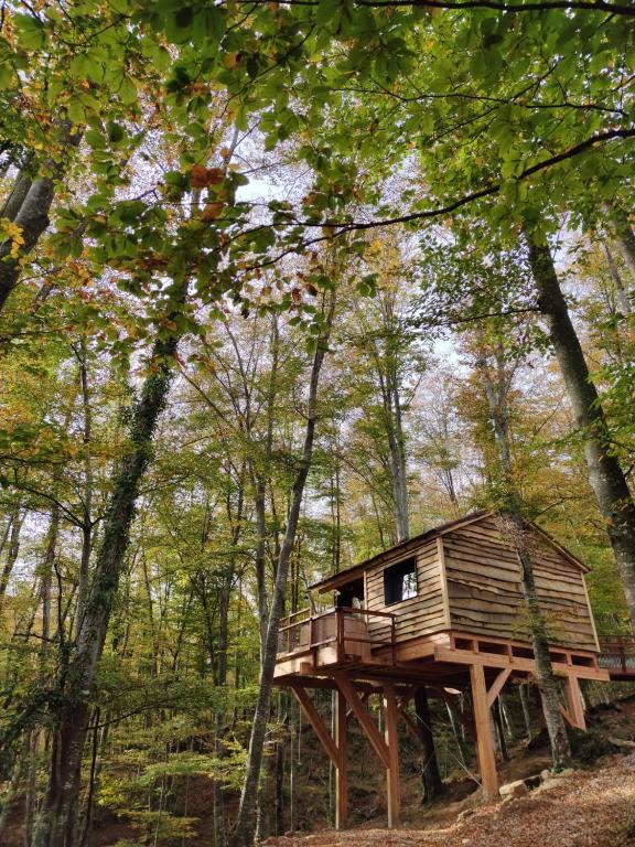 a tree house in the middle of the woods at Cabanyes entre Valls in Vall de Bianya