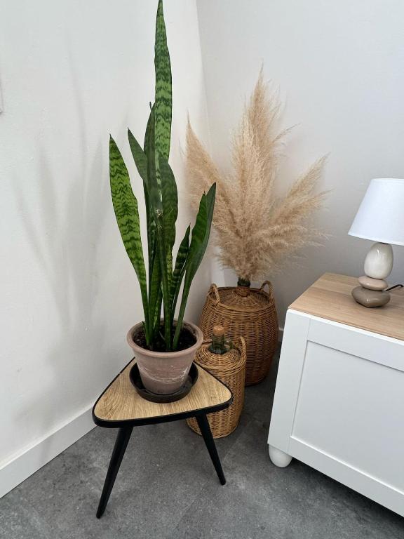 Appartement - Central - Proche gare - Parking - Confort - Moderne – photo 16
