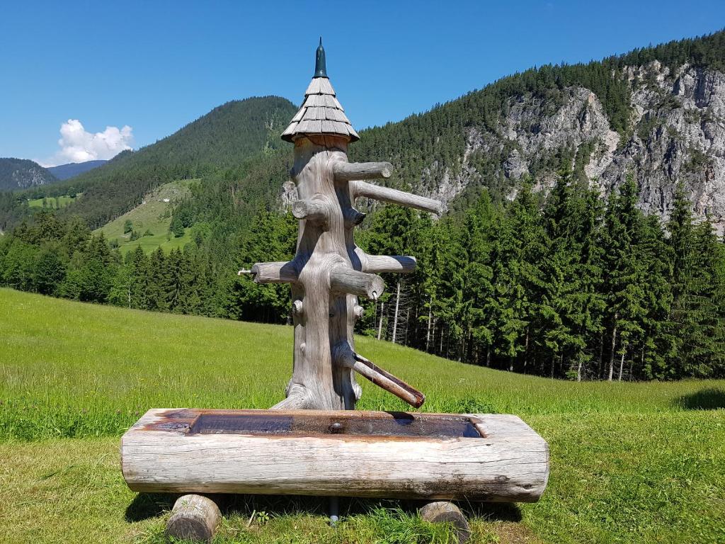 Příroda nedaleko penzionu – hostince