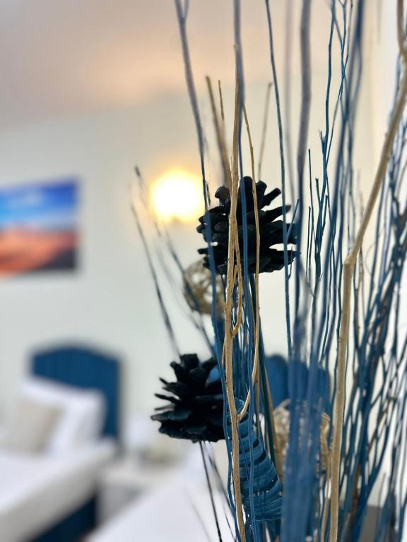 VIP Residence - Exclusively for Ladies - Resim 8