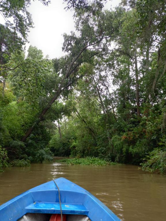 a blue boat on a river with trees at El Domo y La Petaca Delta del Tigre in Tigre