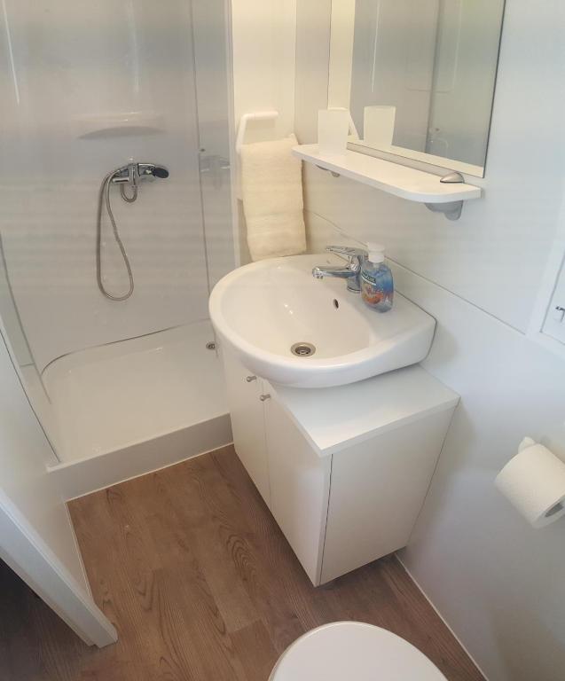 Koupelna v ubytování Mobile Homes Seashell Jezera