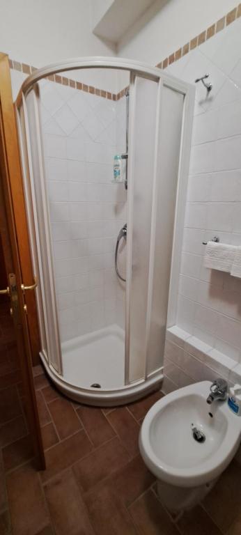 Affittacamere ALBA FIORITA - 16