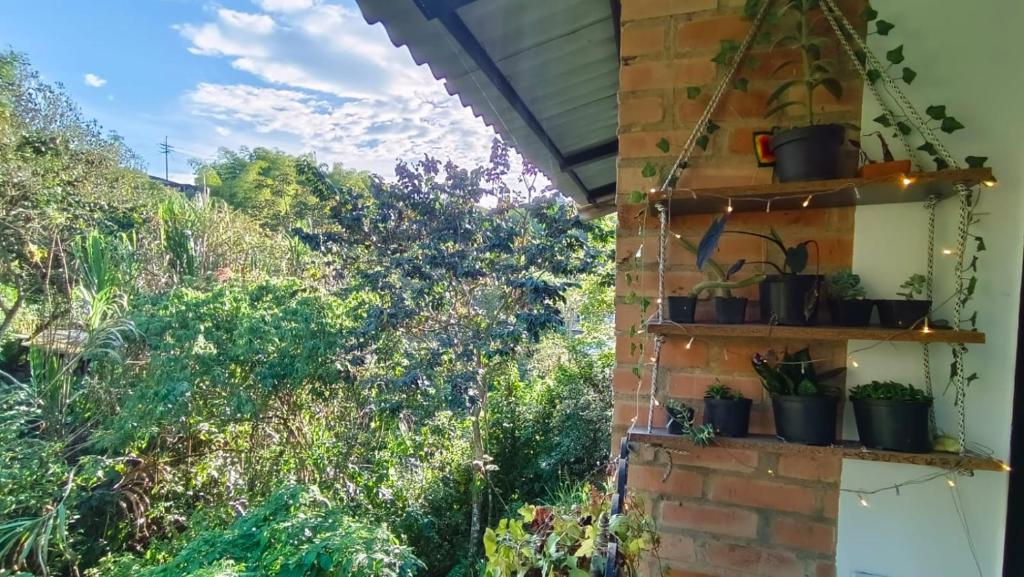 Apartamento Central Campestre 2