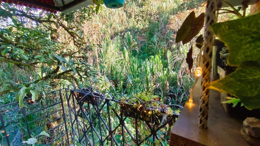 Apartamento Central Campestre 2