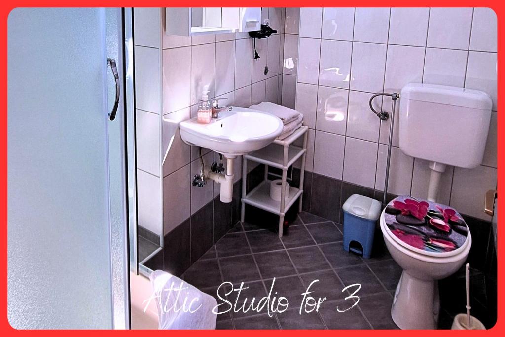 Apartments Rosa - 15