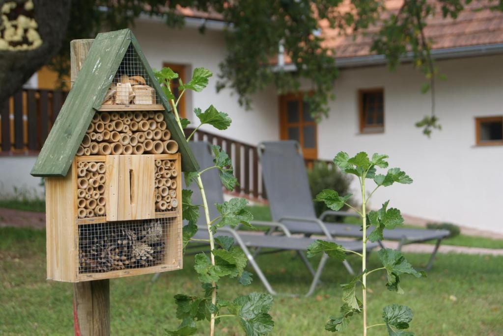 Fotografia z galérie ubytovania Ferienhaus Bioeck v destinácii Mühlgraben