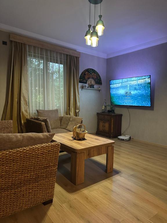 TV a/nebo společenská místnost v ubytování Aragvi Riverside