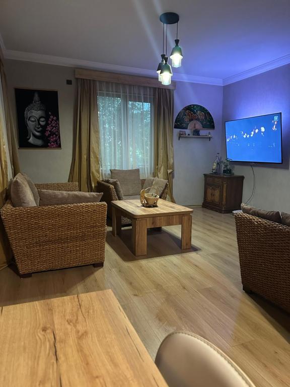 TV a/nebo společenská místnost v ubytování Aragvi Riverside