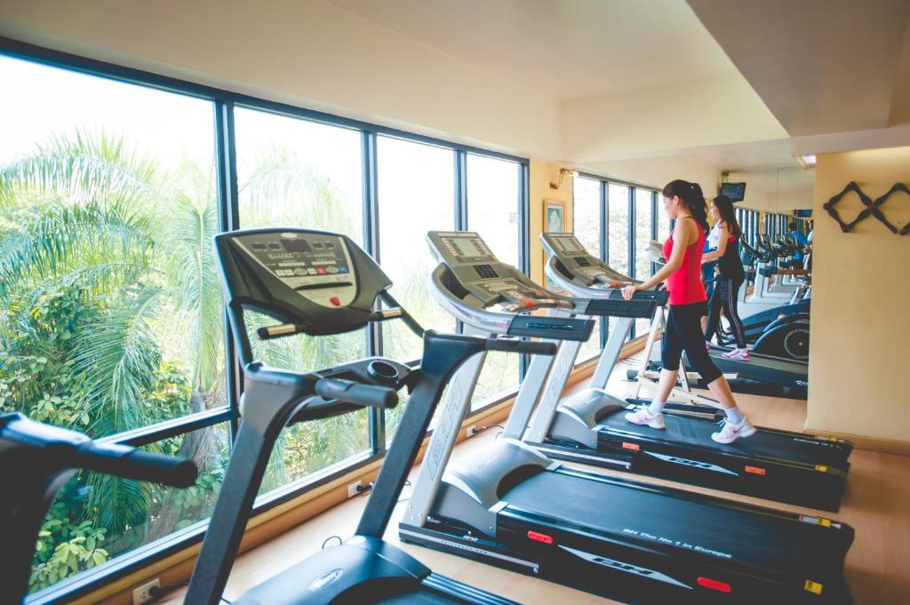 Treadmills face large windows overlooking leafy greenery.