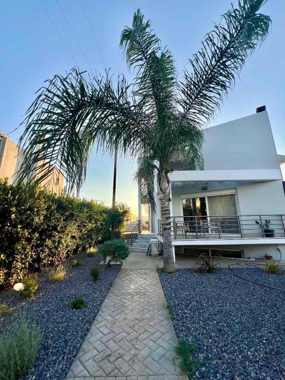 a palm tree in front of a house at Iloma Villa 6 km from Nafplio in Dhalamanára