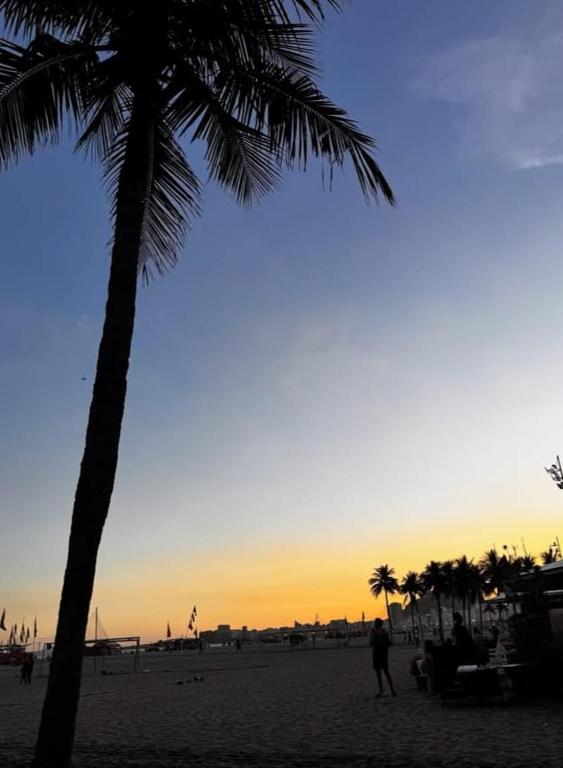 a palm tree on a beach with a sunset at LEME Casa 11 in Rio de Janeiro