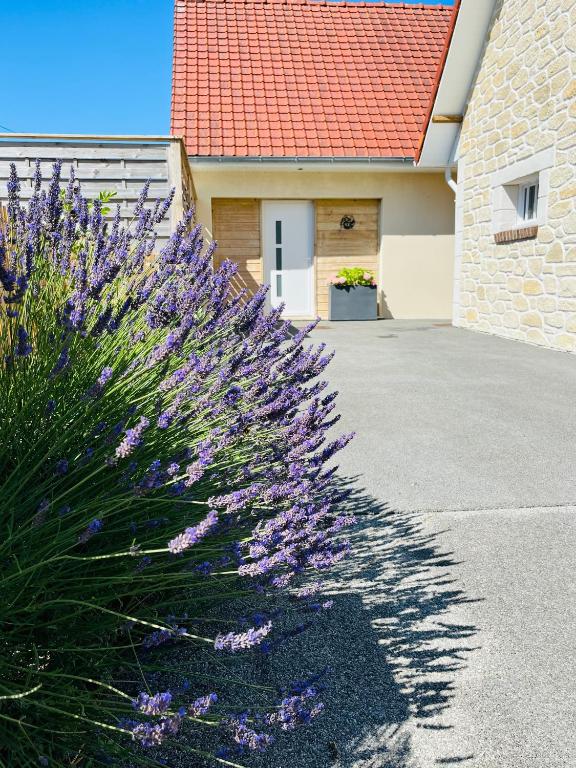 Zahrada ubytování Eden aux hirondelles