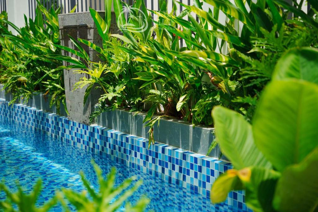 Biệt Thự Có Hồ Bơi Riêng