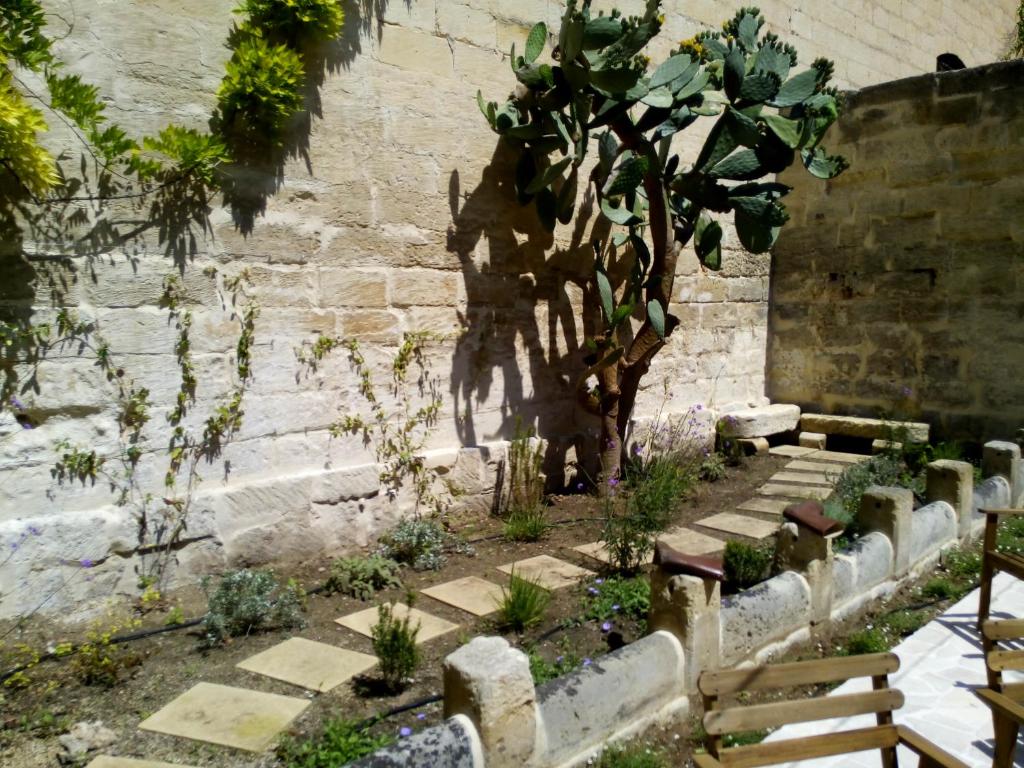 Zahrada ubytování Il Giardino Di Benedetta