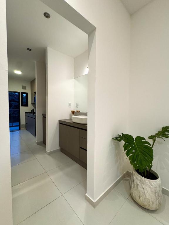 Departamento Nido Parque