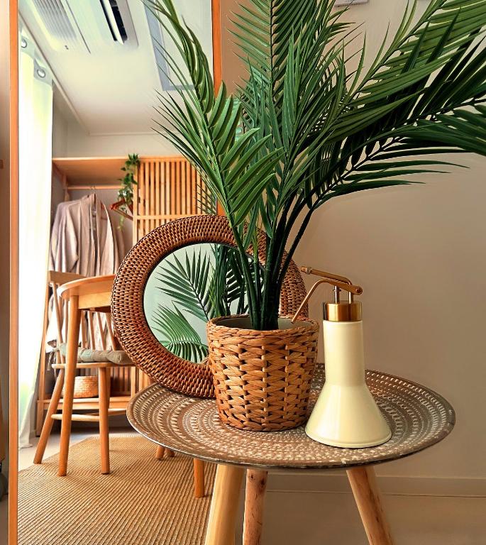 a plant in a basket sitting on a table at 3-Min Walk from Achasan Station, 2-Bedroom Bali Mood Stay with Hinoki Aroma in Seoul