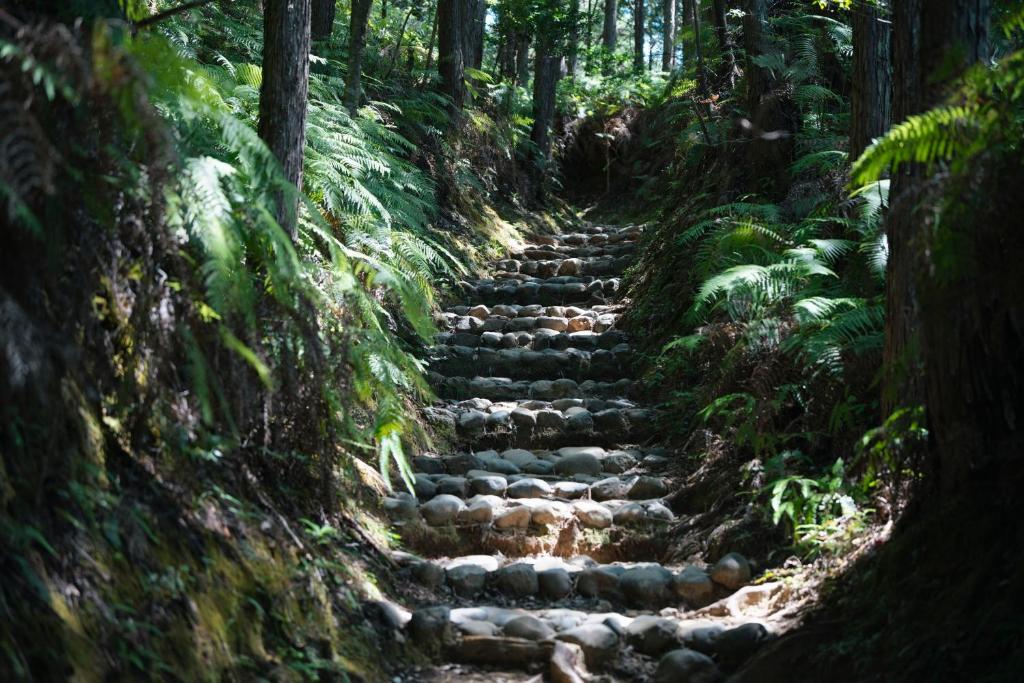 a set of stone stairs in a forest at ikkyu rental vacation house in Kobune