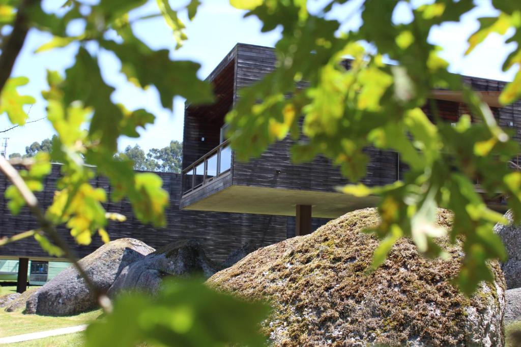 una casa vista a través de las hojas de los árboles en Encosta do Paraíso - Apartamentos Turísticos, en Guimarães