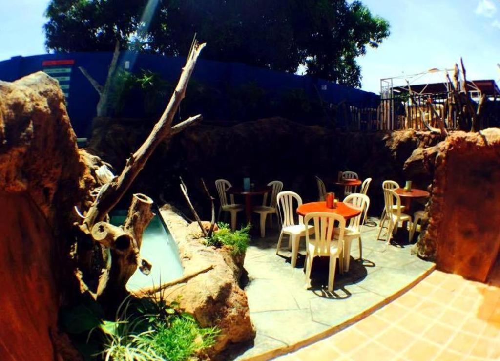 Zahrada ubytování Curacao Lodge
