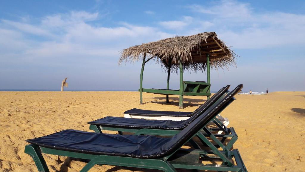Fotografie z fotogalerie ubytování Whitepearl Beach v Hikkaduwě