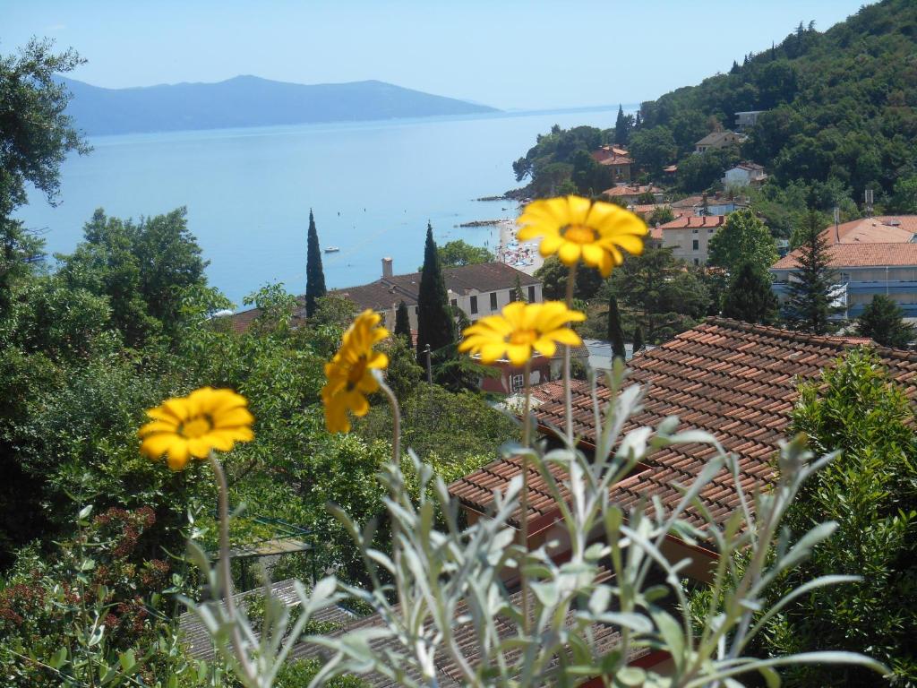 Paesaggio naturale nelle vicinanze dell'affittacamere