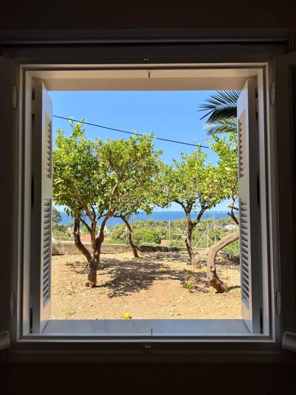 a window with a view of trees in a field at Casa Limone in Argostoli