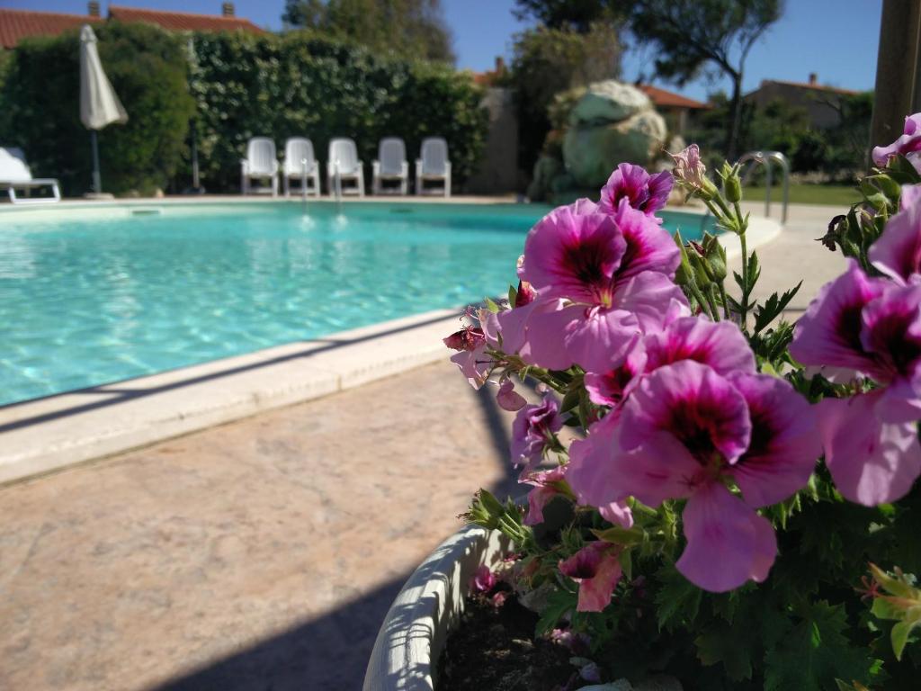 Basen w obiekcie Hotel Raffael PHG lub w pobliżu