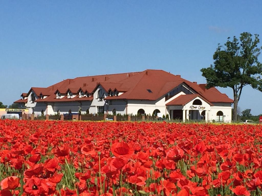 a large white building with a bunch of red flowers in it at Hotel Dwór Galicja in Stalowa Wola