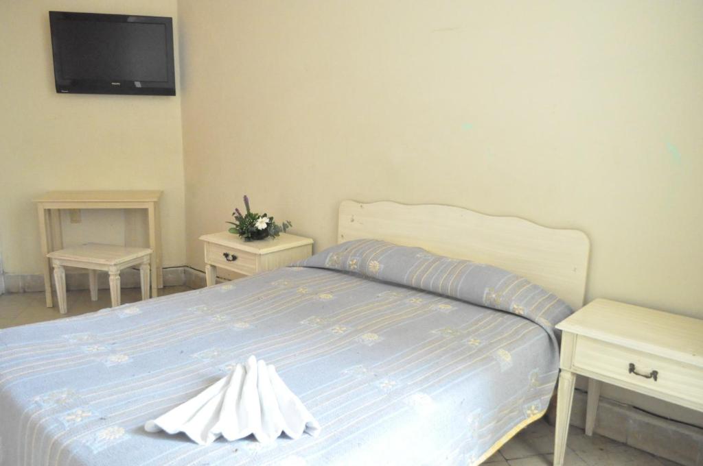 1 Schlafzimmer mit einem Bett, 2 Tischen und einem TV in der Unterkunft Hotel Metropolitan I in Irapuato
