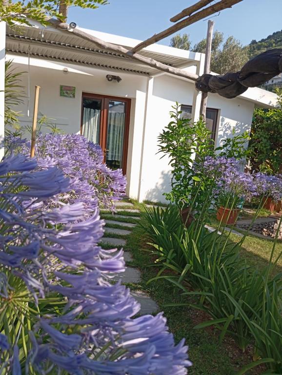 Κήπος έξω από το Casa Mia