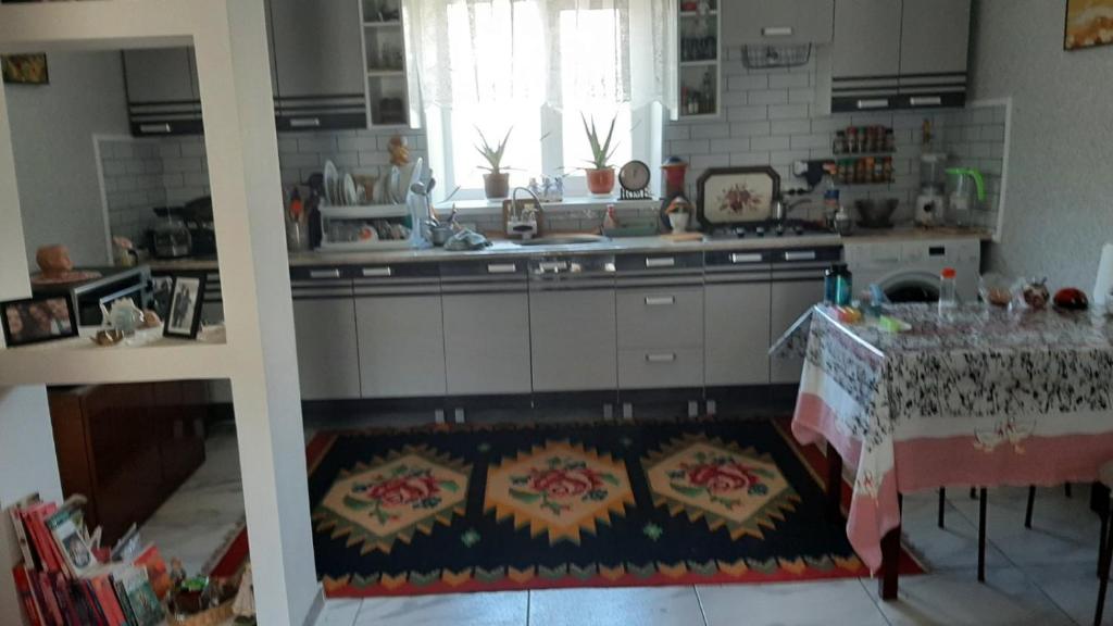 Kuchyň nebo kuchyňský kout v ubytování Camera in Casă de la țară lângă Vinăria Purcari Room in House in the village near Purcari Winery