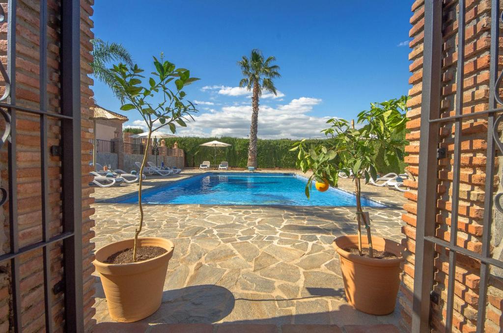 a swimming pool with two potted trees in a yard at Villa Conmigo Bed & Breakfast in Alhaurín de la Torre