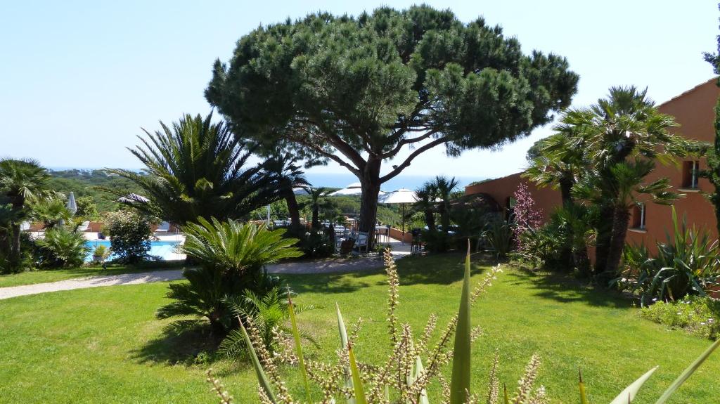 a tree in the middle of a lawn with palm trees at Hôtel les Bouis - Vue mer in Saint-Tropez